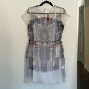 Clover Canyon sheer dress with slip